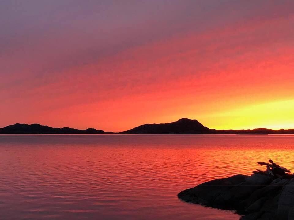 Skjerjehamn Otel Anneland Dış mekan fotoğraf